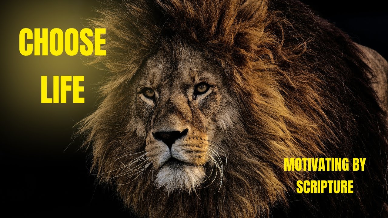 Choose Life – Deuteronomy 30:19 | Motivating with Scripture - YouTube