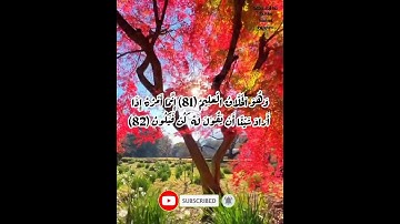من أمتع تلاوات عملاق القراء محمد الليثى 💙