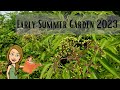 Garden Tour Beginning of Summer 2023