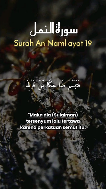 QS An Naml ayat 19 #short #storywa