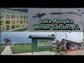 Lake Apopka Pier - Wild Gators - Things to do Orlando UK Tourist Visit.