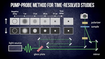 OpticaI Imaging of Ultrafast Magnetization Dynamics