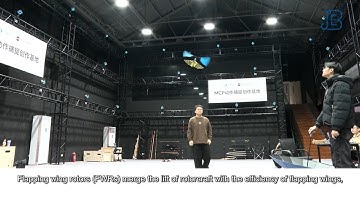 Downwash dynamics reveal new paths to stable flapping wing rotor flight