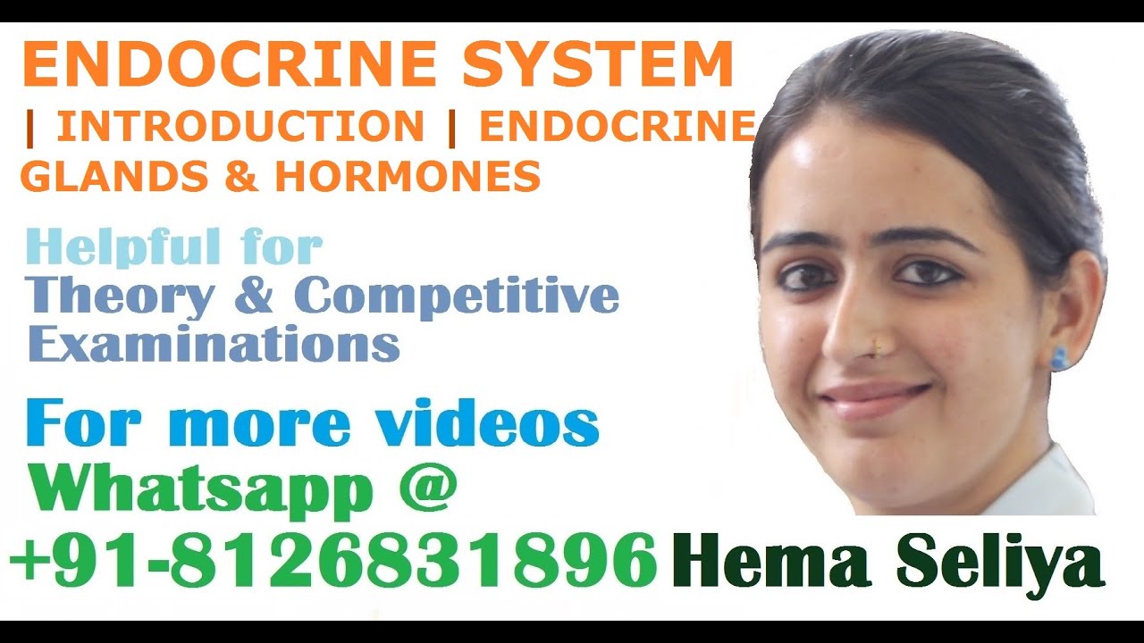 ENDOCRINE SYSTEM | INTRODUCTION | ENDOCRINE GLANDS & HORMONES