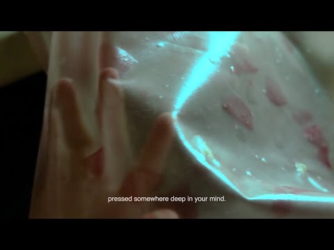 Innovative Project Biomotive Biomaterials for Sustainable Cars in Australia