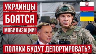 Украинцы в Польше БОЯТСЯ мобилизации! Правительство Польши поможет Зеленскому?