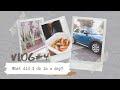 Huizi的主妇日常vlog#4 |我的一天都忙什么 | 种虎皮兰 | 开吃钵钵鸡 | 自己洗车当运动