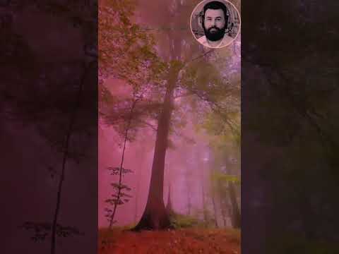 دلم هواتو کرده یار قدیمی