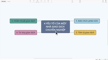 Bản đồ thành công cho một Trader chuyên nghiệp   Người mới cần làm gì    Alden Nguyen
