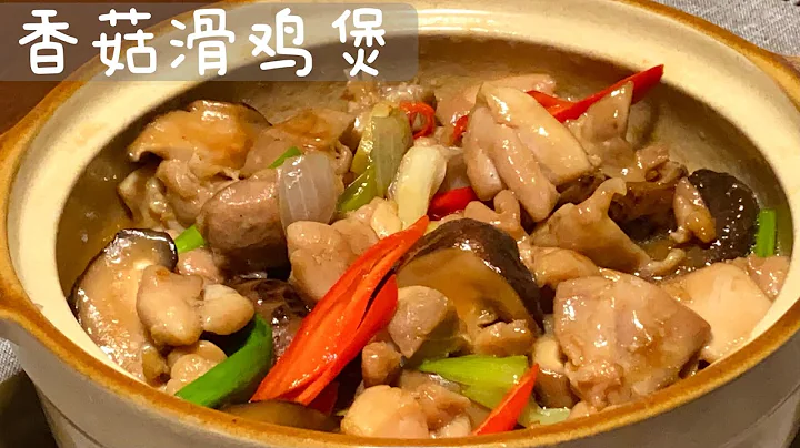 [Eng Sub]【香菇滑鸡煲】香菇和鸡放在一起 结果你会满意的 美味又便宜的食谱 Chicken With Shiitake Mushroom Claypot - 天天要闻