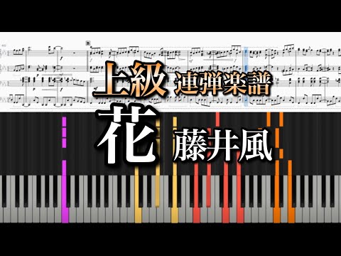 花 (連弾) - 藤井風