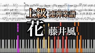 花 (連弾) - 藤井風
