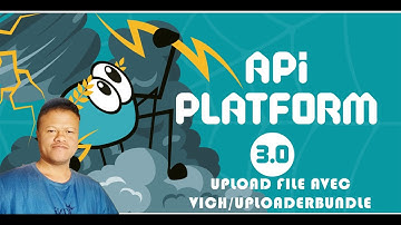 Utilisation de Vich/UploaderBundle pour uploader Fichier dans API Platform avec Symfony 7