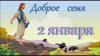 2 января "Доброе семя", аудиокнига-календарь на каждый день