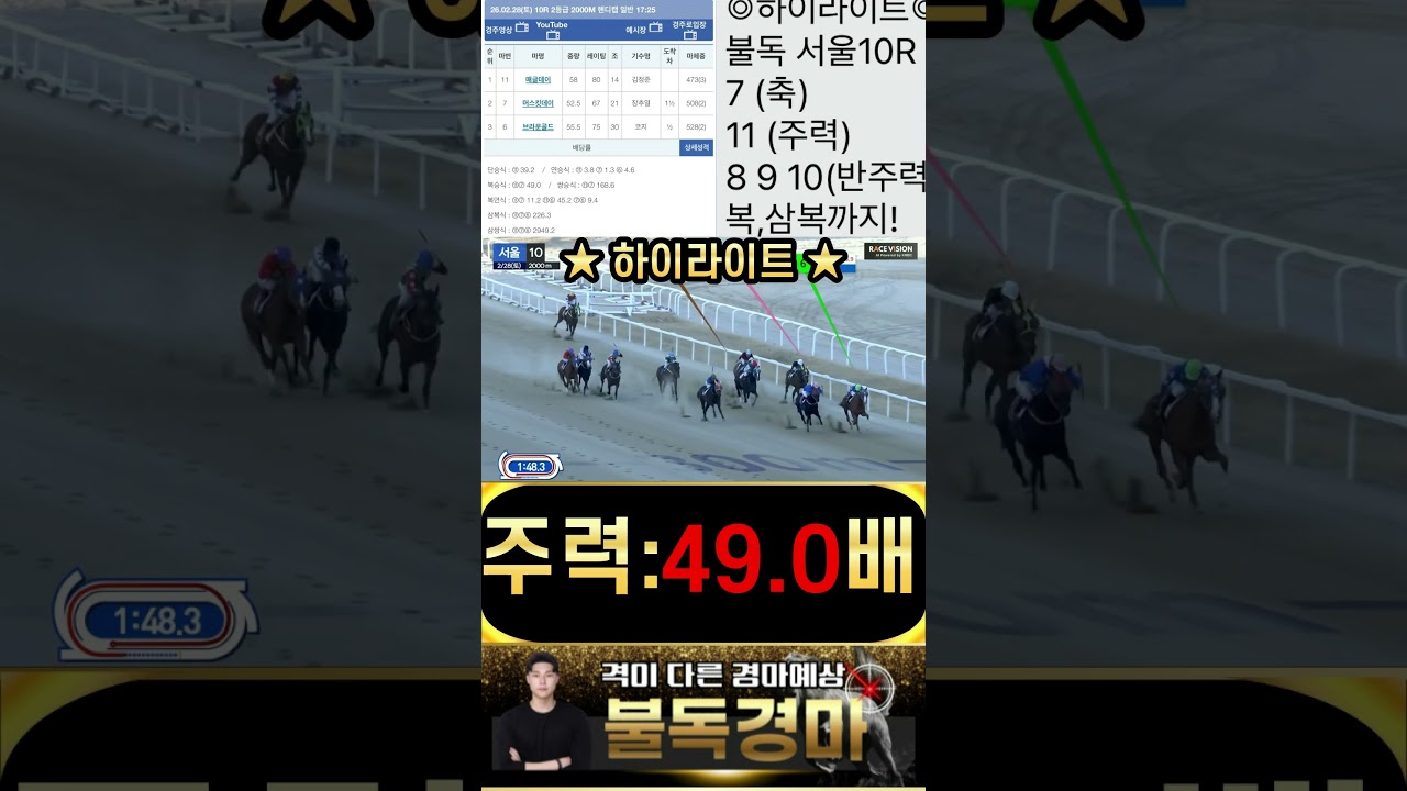 불독의 서울경마 하이라이트 승부 고배당주력한방으로 끝내버립니다! 경마는 불독 입니다