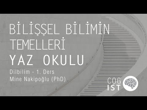 Video: Bilişsel bilim derecesi ile hangi işleri alabilirim?