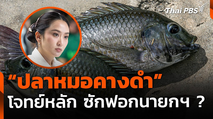 เก็งโจทย์ #ปลาหมอคางดำ ซักฟอกนายกฯ พิสูจน์ฝีมือแก้ปัญหา | ข่าวเที่ยง | 22 มี.ค. 68