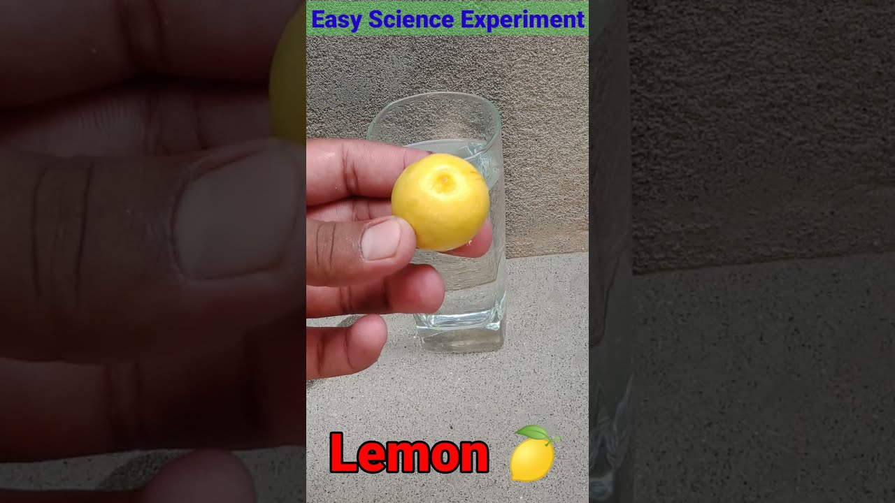 Water Density Experiment With Lemon | Science Experiment at home | Cool Science Experiments. 