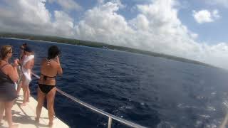 Gh010485