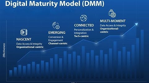 Understanding the Digital Maturity Model (8 Minutes)