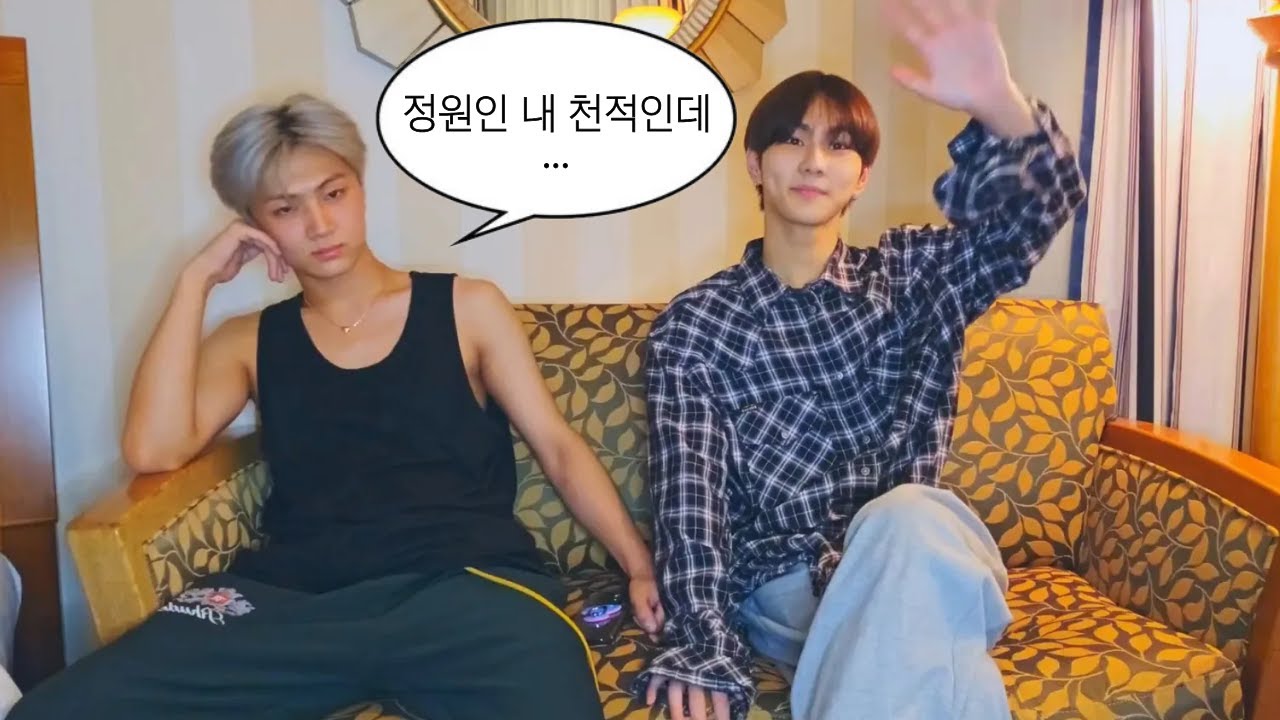 야옹즈 모먼트 모음집 🐱 | 제이 정원 | 엔하이픈