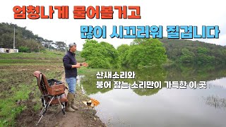 탐사중 대박횡재// 1박 했으면 뒤졌다// 저만 몰랐던 대박 저수지 발견#big fishing