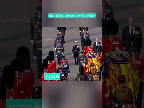 Prince Harry & Prince William walk together behind the Queen's coffin #shorts