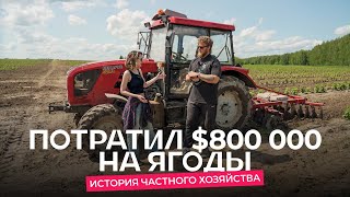 Фермер вложил в ягоды $800 000. «Кроме МТЗ, ничего не советовали!»