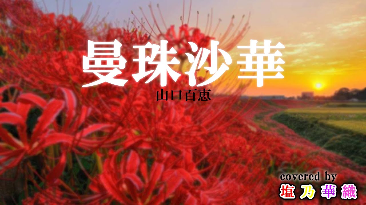 曼珠 沙 華 山口 百恵