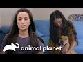 Encuentra su hogar definitivo después de 4 años | Pit bulls y convictos | Animal Planet