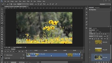 Install OpenShot Video Editor