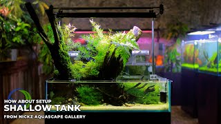 Shallow Aquascape - My First Shallow Tank Aquascape |