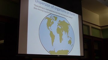 Microbial Communities: From Modelling to Understanding Ecological