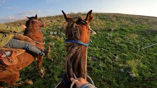 POV HORSE RIDING  GOPRO HERO 10