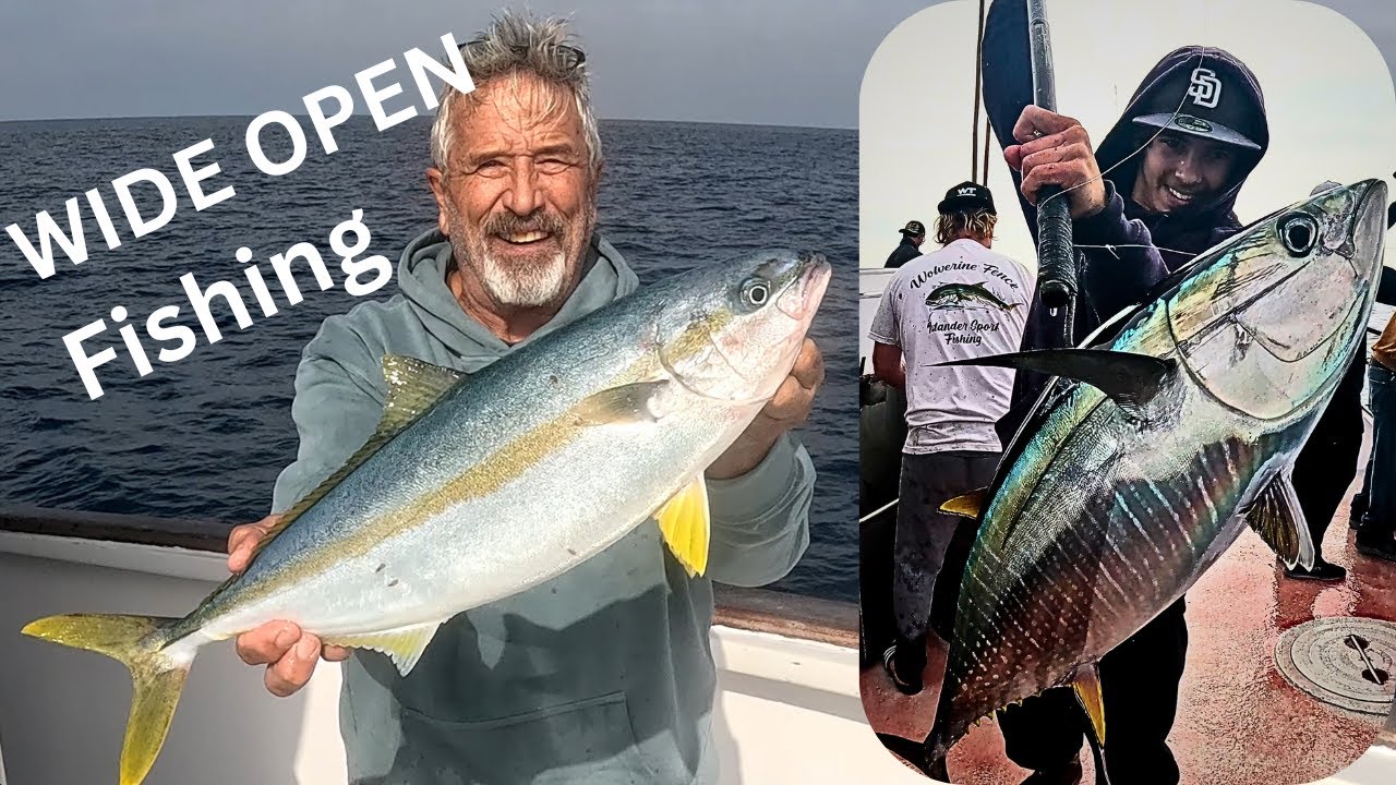 Часть 2 – Улов желтоперого и желтохвостого тунца от производителя | San Diego Offshore Mayhem