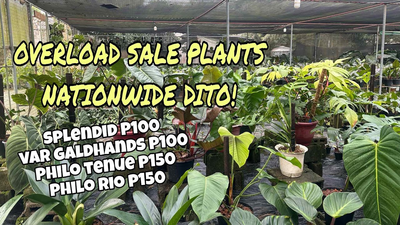 BAGONG PUNTA GRABE OVERLOAD SALE #SITIOLIPAHAN