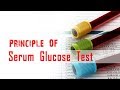 Serum glucose test  principle