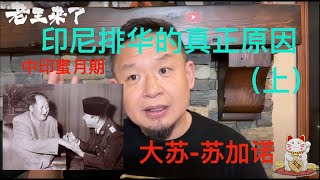 老王来了｜印尼排华真相（上）｜印尼大屠杀｜墨西哥排华｜苏加诺｜雅加达会议｜南京大屠杀｜辛亥革命｜甲必丹时代｜蒋介石｜荷兰｜马来亚｜新加坡｜印度尼西亚
