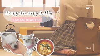 A DAY IN MY LIFE IN JAPAN / vlog / Japan Diaries / Kimchi Nabe, Grocery Shopping, Cute Chihuahuas by Tofu Nikki 1,304 views 1 year ago 7 minutes, 32 seconds