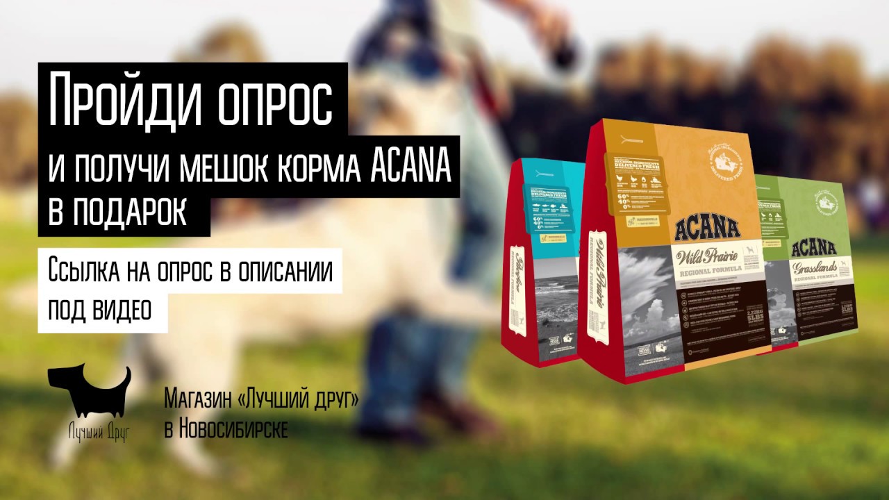 Все Корма Нск Интернет Магазин