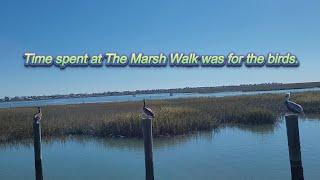 Time spent at The Marsh Walk was for the birds.