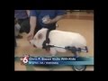 News anchor laughs uncontrollably about chris p bacon the pig