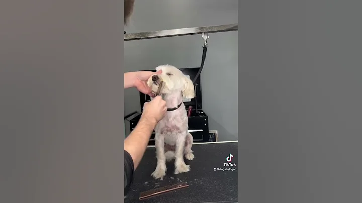 Carlos