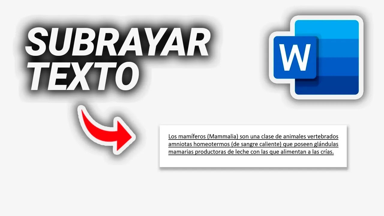 Cómo SUBRAYAR un Texto en Word - YouTube
