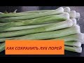 266.КАК СОХРАНИТЬ ПОРЕЙ, ТРИ СПОСОБА ХРАНЕНИЯ