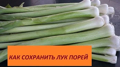 266.КАК СОХРАНИТЬ ПОРЕЙ, ТРИ СПОСОБА ХРАНЕНИЯ