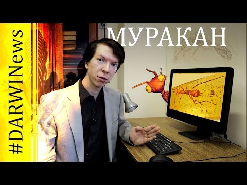 МУРАКАН - чужой мелового периода! Ярослав Попов #DARWINews