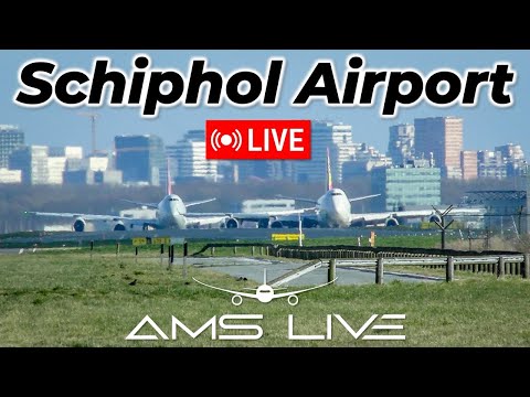 LIVE: Morning Rush at Amsterdam Schiphol | RWY06 Arrivals incl. 747s + Retro A321neo | July 27, 2025