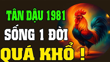 Trời Cao Chỉ Rõ Tân Dậu 1981 - Cuộc Đời Có Bất Đắc Dĩ Đến Đâu Cứ Hãy Ngẩng Cao Đầu Mà Sống Tiếp !