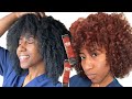 Dyeing my natural hair Black to Copper |NO BLEACH |No Damage | L&#39;Oreal Hicolor Highlights #copper